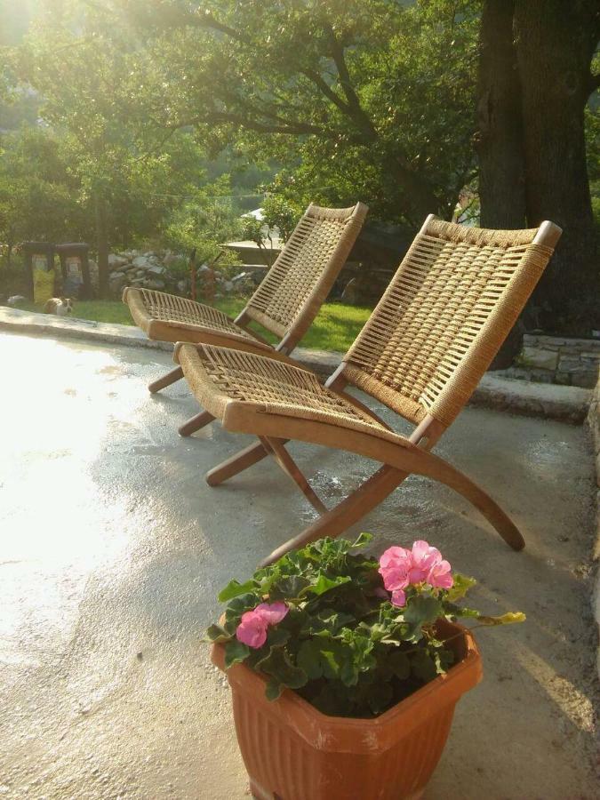 Holiday Homes Mirjana Mošćenička Draga Exteriör bild